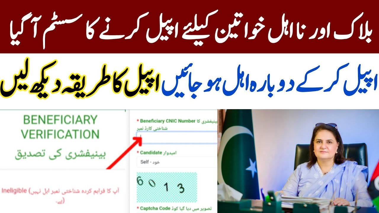 How To Appeal a Rejected BISP 8171 Application