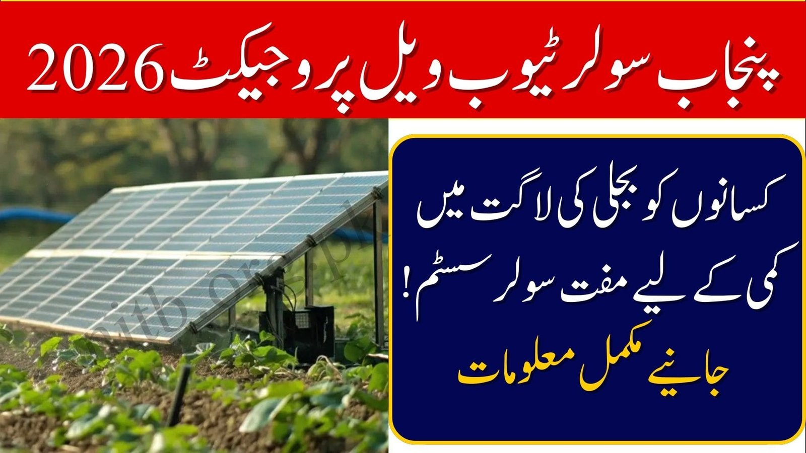 Punjab Solar Tubewell Project